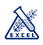 excel logo