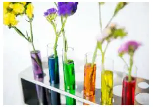 Screenshot 2026 04 18 174803